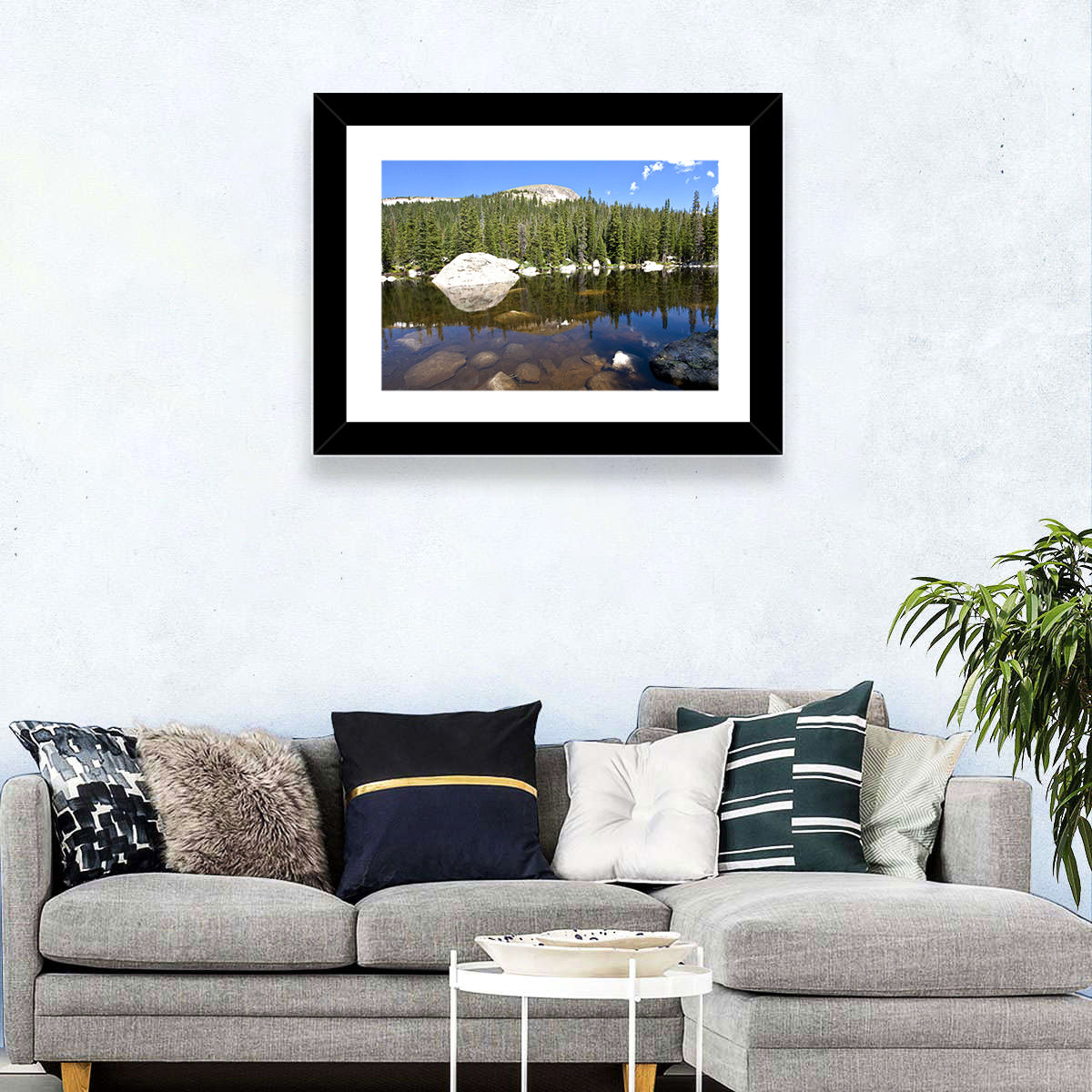 Colorado Forest Lake Reflection Wall Art