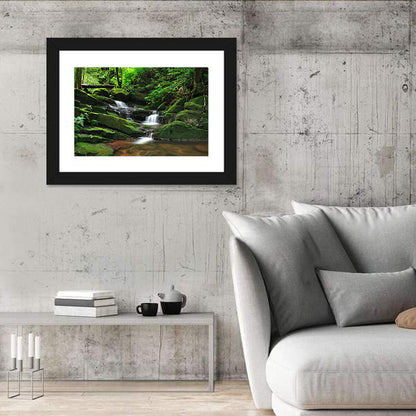 Mossy Rainforest Stream Wall Art