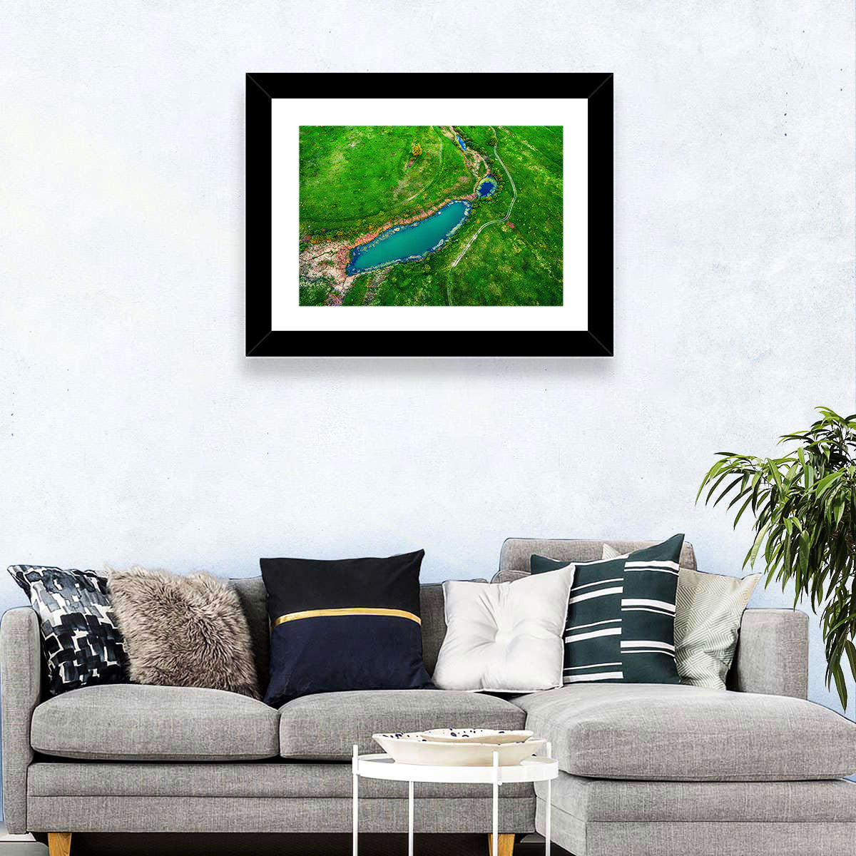 Meadows Lake Aerial Wall Art