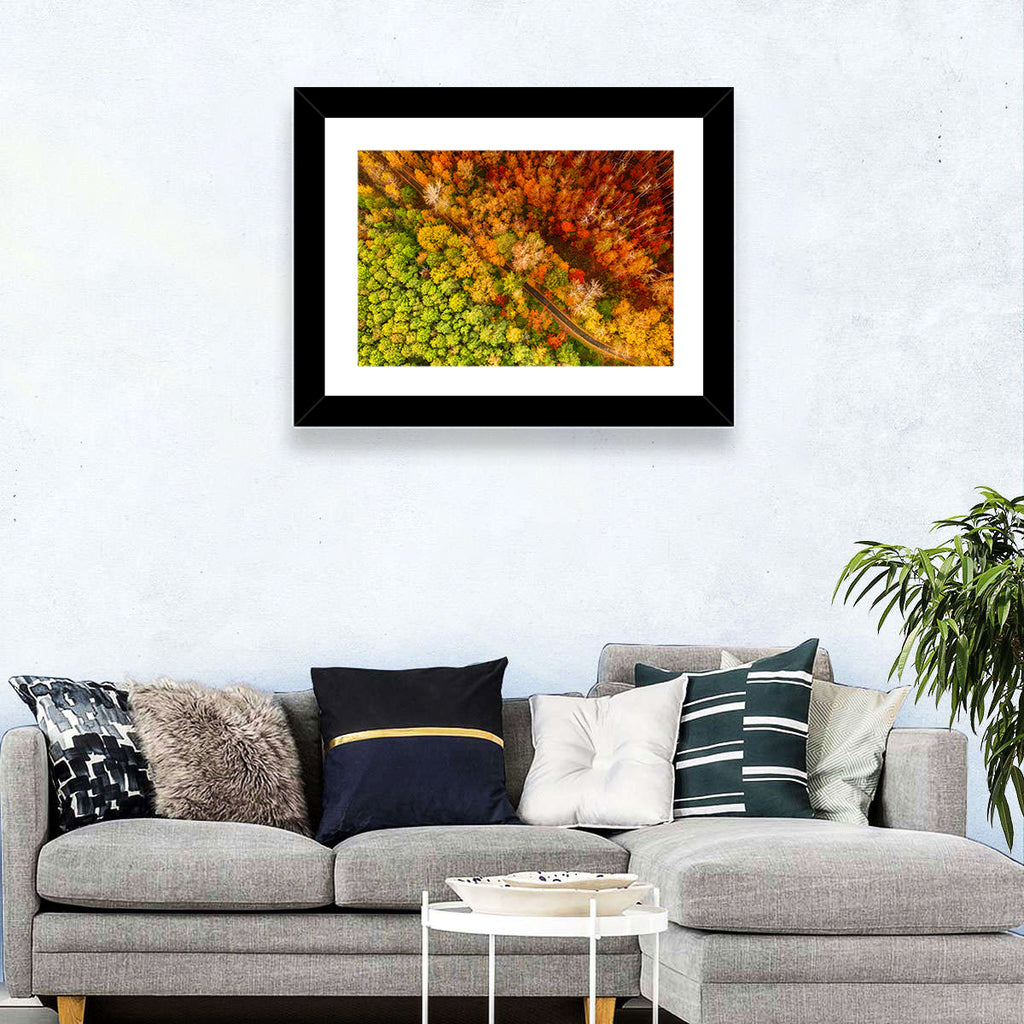 Winding Road Through Autumn Forest Wall Art