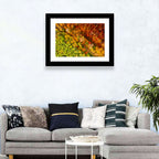 Winding Road Through Autumn Forest Wall Art