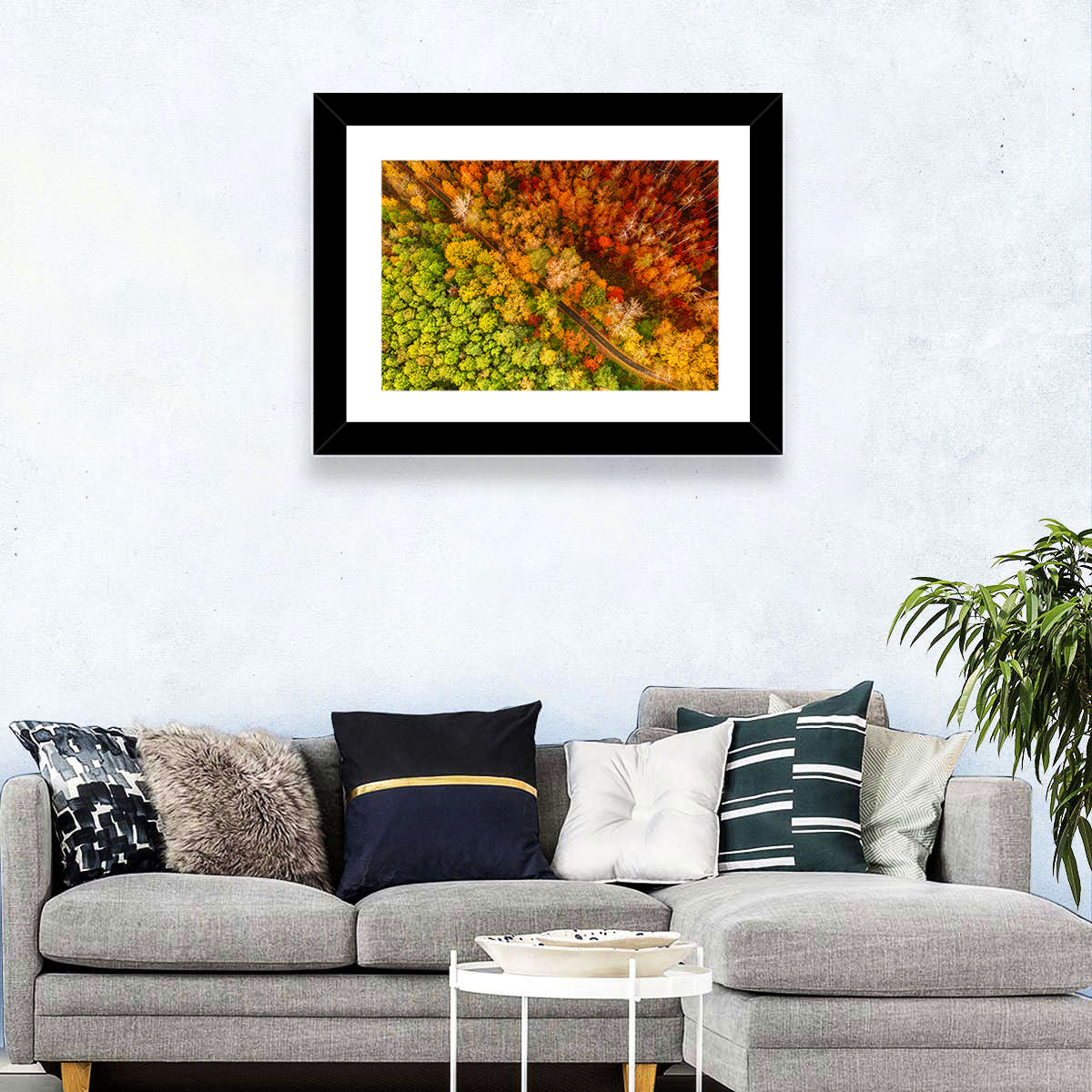 Winding Road Through Autumn Forest Wall Art