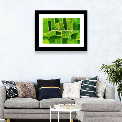 Verdant Rice Terrace Grid Wall Art
