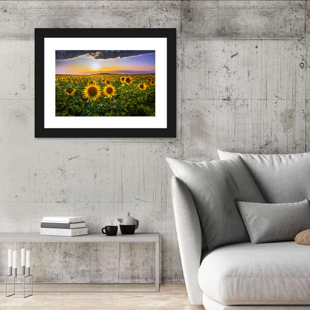Sunflower Field at Golden Hour Wall Art in a room, landscape