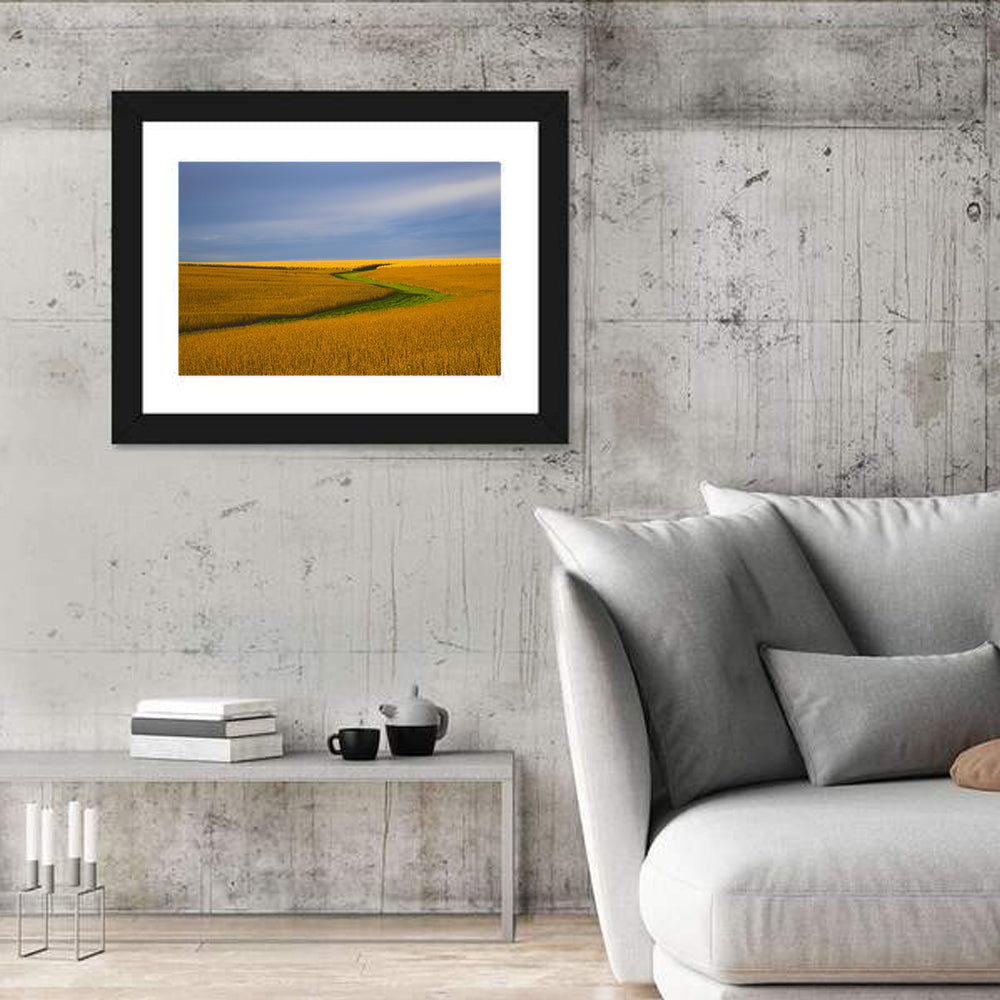 Golden Hour Soybean Field Wall Art