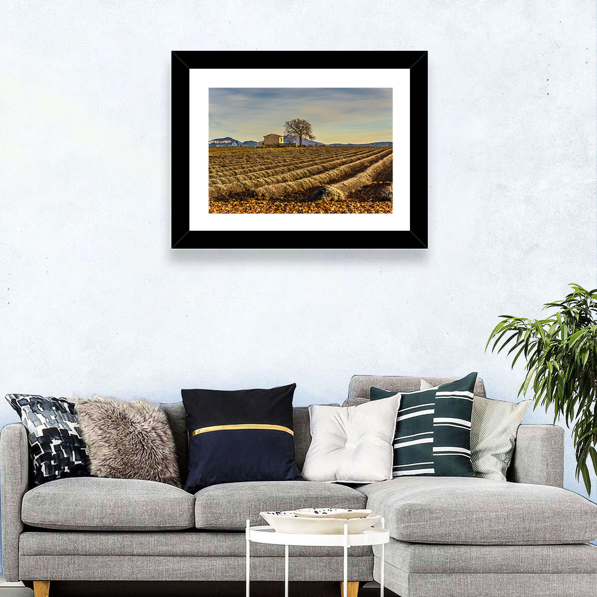 Rustic Provence Lavender Rows at Golden Hour Wall Art in a room, landscape