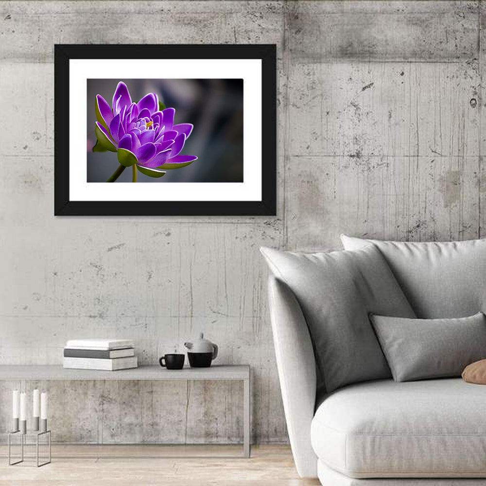 Purple Water Lily Close-up Wall Art in a room, landscape