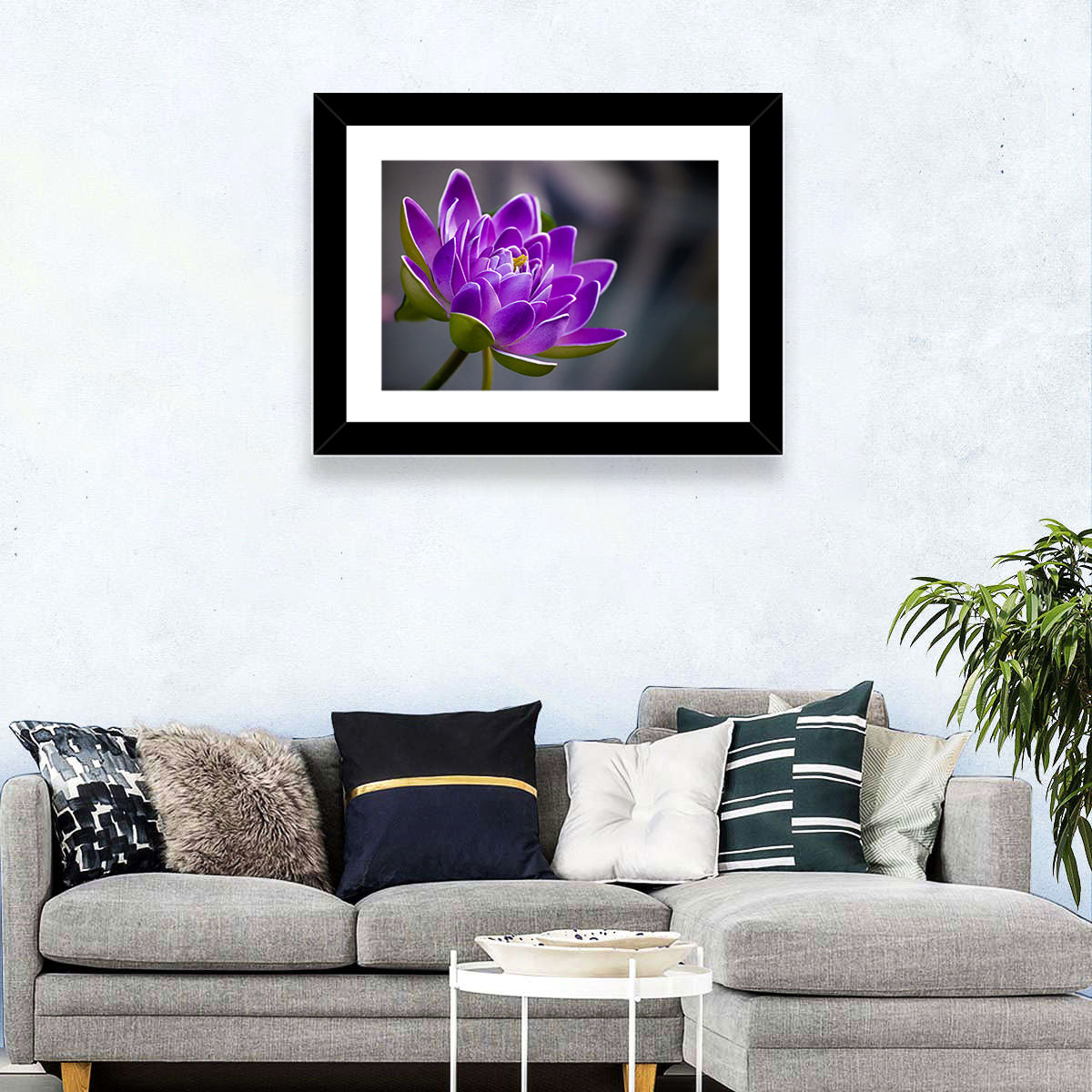 Purple Water Lily Close-up Wall Art in a room, landscape