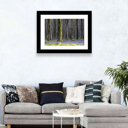 Bluebell Beechwood Grove Wall Art