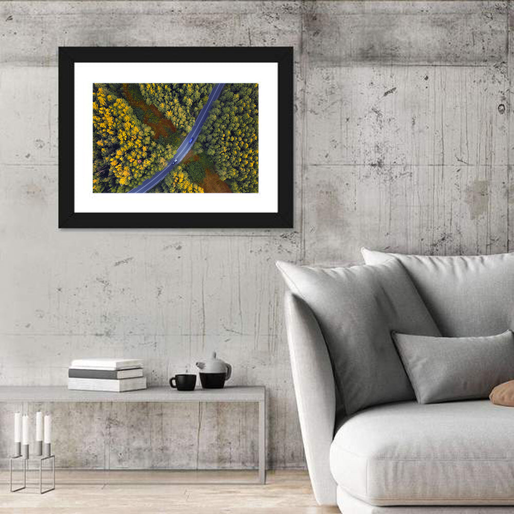 Aerial Autumn Forest Road Wall Art
