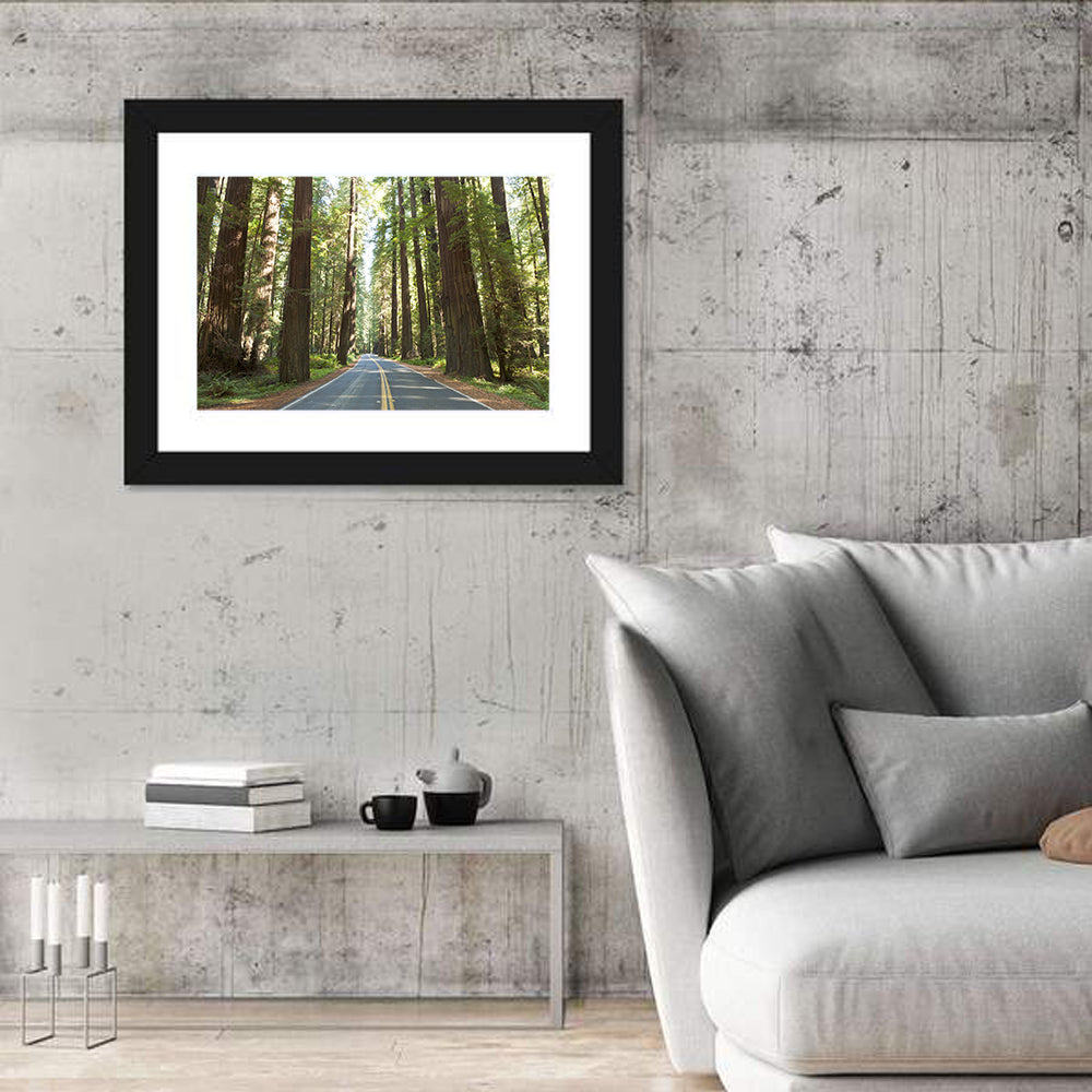 Giants Avenue Redwood Forest Road Wall Art in a room, landscape