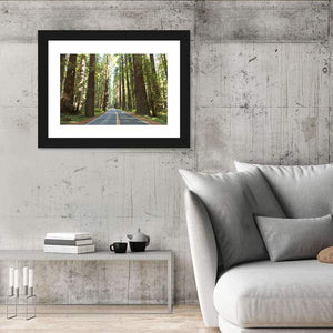 Redwood Giants Avenue California Wall Art