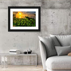 Mangrove Roots at Sunset Wall Art