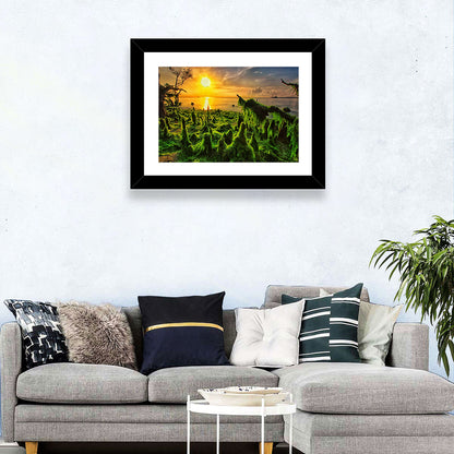 Mangrove Roots at Sunset Wall Art