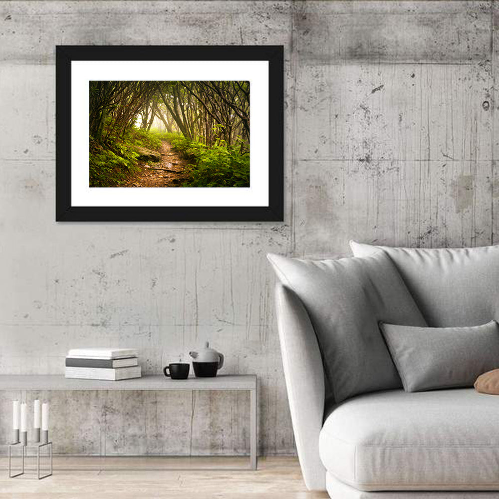 Craggy Gardens Hiking Trail Wall Art in a room, landscape