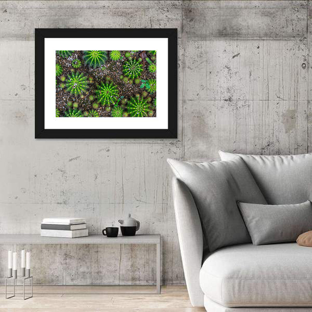 Cactus Plants Wall Art