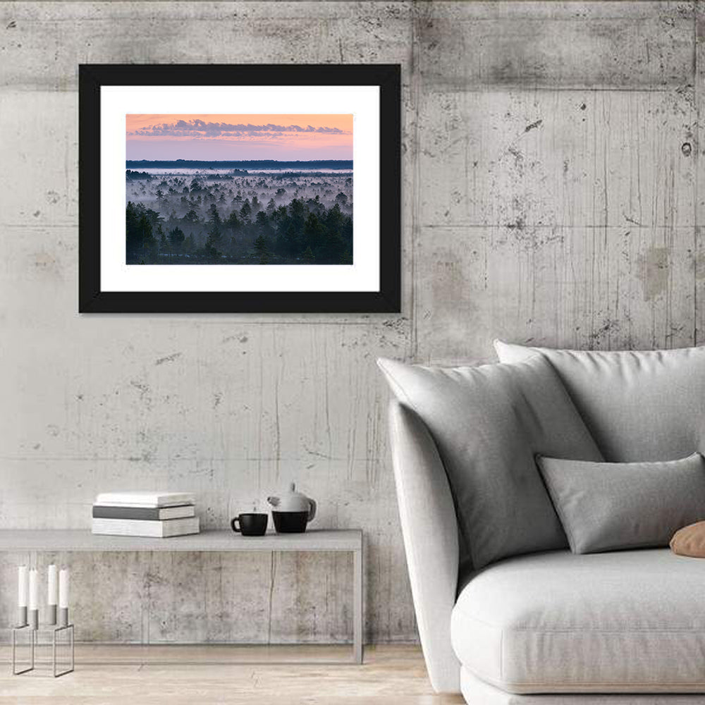 Estonian Misty Pine Landscape Wall Art