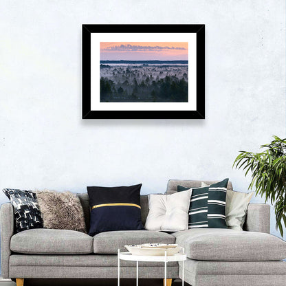 Estonian Misty Pine Landscape Wall Art
