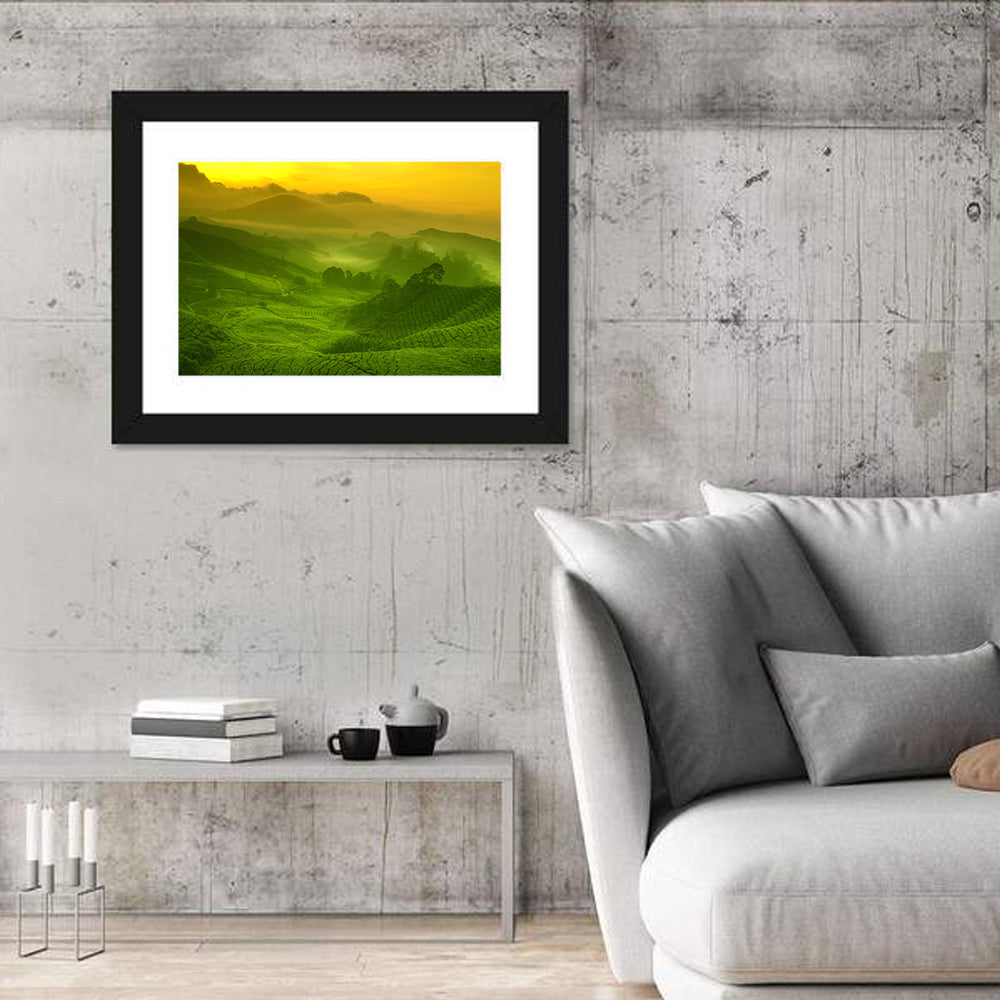 Sunlit Tea Plantation Hills Wall Art in a room, landscape