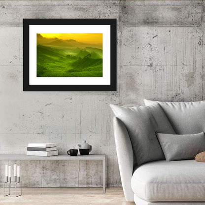 Sunlit Tea Plantation Hills Wall Art