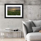 Illinois Fields Sunset Wall Art