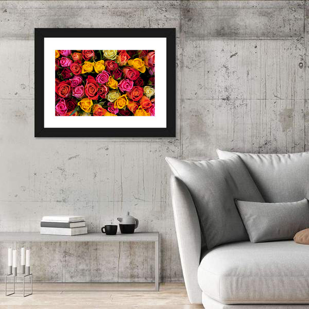 Multicolored Roses Close-up Wall Art