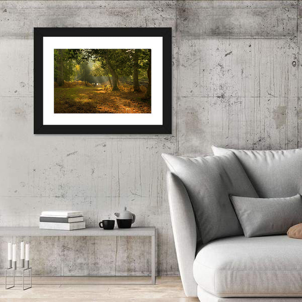 Autumn Forest Path, Hampshire Wall Art in a room, landscape