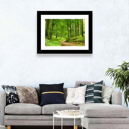 Sunlit Forest Path Wall Art