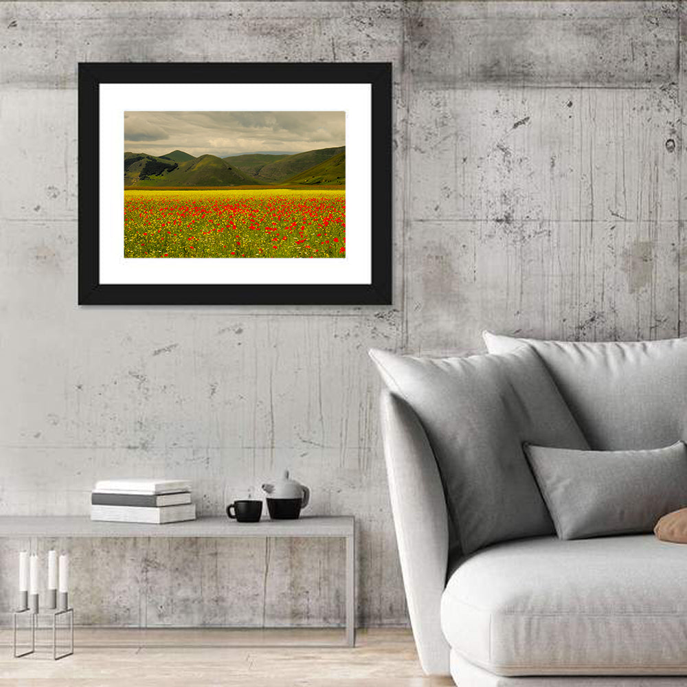 Castelluccio Wildflower Meadow Wall Art