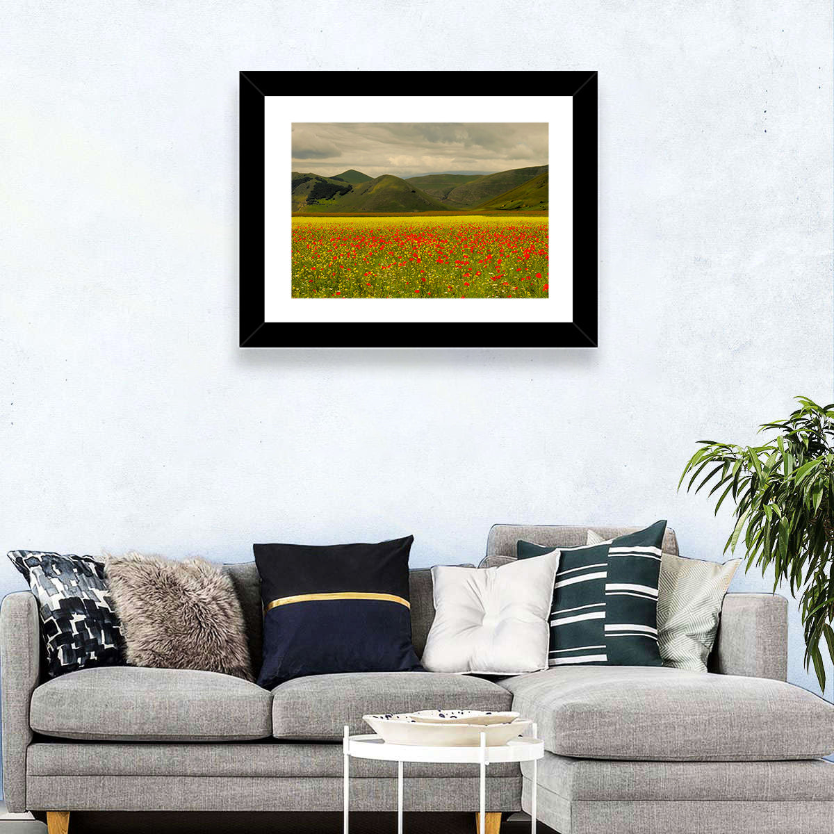 Castelluccio Wildflower Meadow Wall Art in a room, landscape