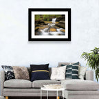 South Carolina Forest Waterfall Wall Art
