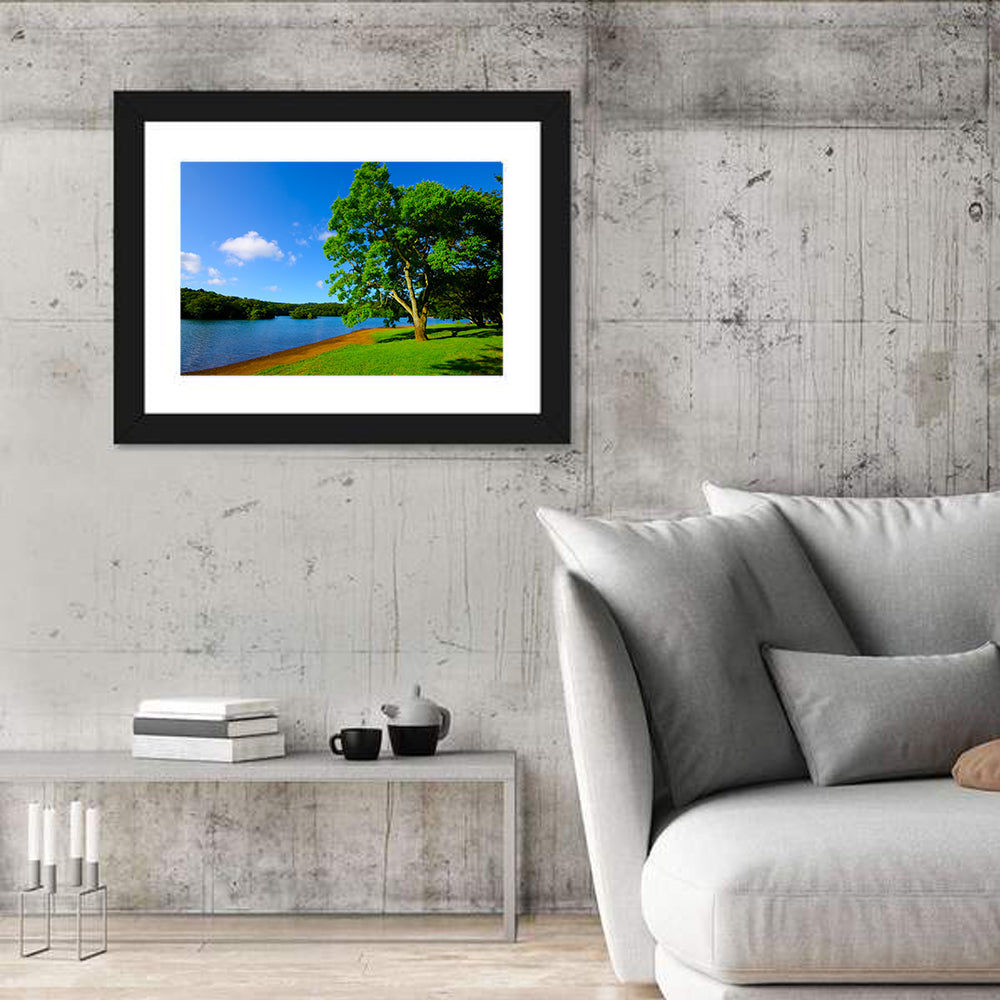 Lake Ippeki Solitary Tree Wall Art
