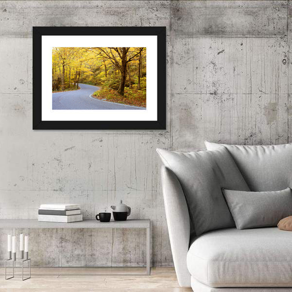 Winding Road Through Autumn Foliage Wall Art in a room, landscape