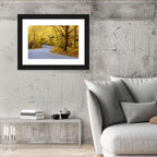 Winding Road Through Autumn Foliage Wall Art