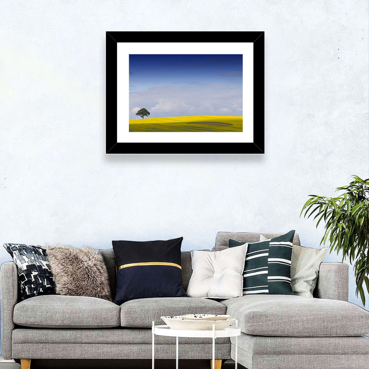 Solitary Tree Over Rapeseed Field Wall Art in a room, landscape
