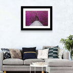 Magenta Mangrove Pathway Wall Art