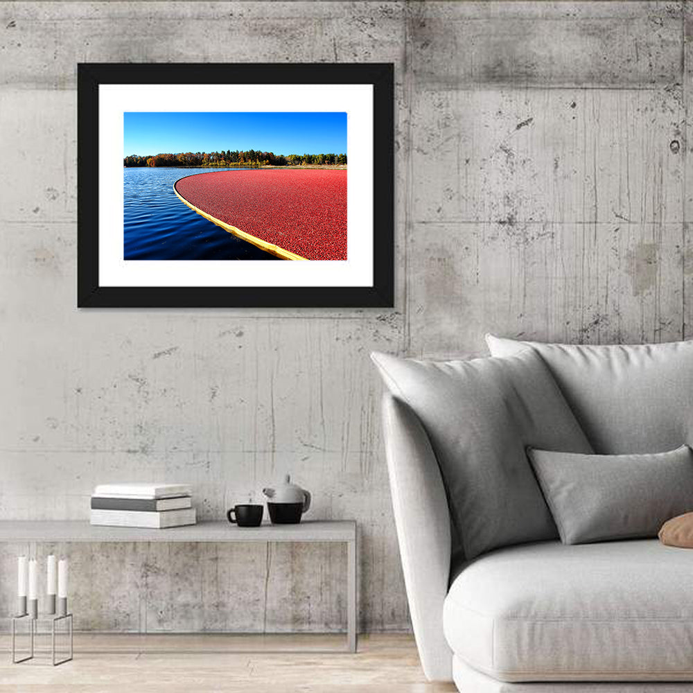 Flooded Cranberry Bog Wall Art in a room, landscape