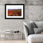 Autumn in the Appalachian Forest Wall Art