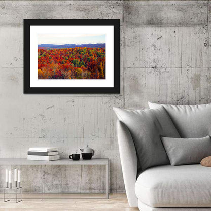Autumn in the Appalachian Forest Wall Art