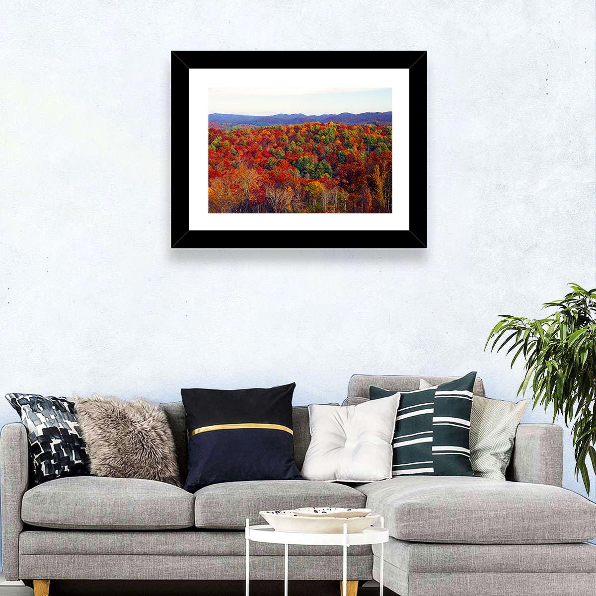 Autumn in the Appalachian Forest Wall Art