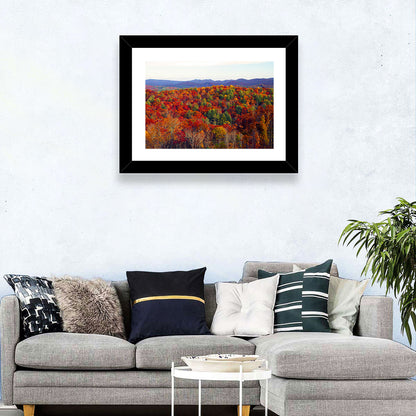 Autumn in the Appalachian Forest Wall Art