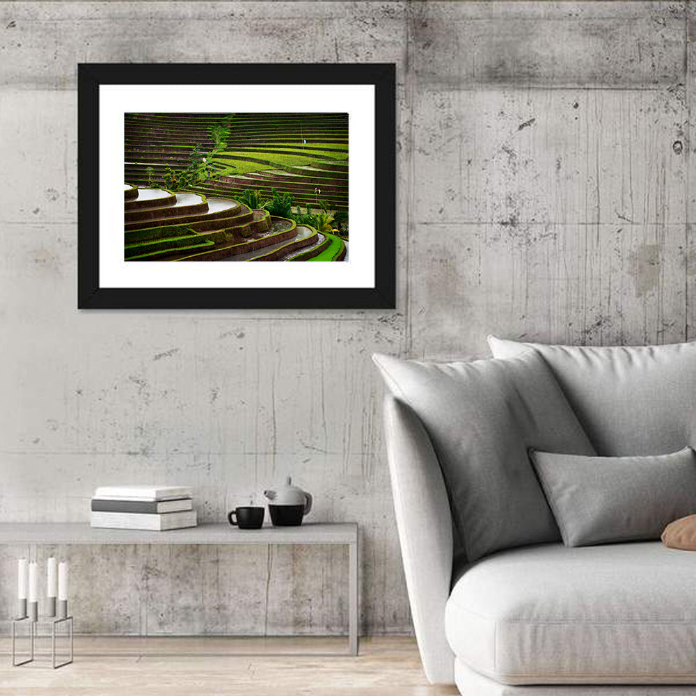 Lush Rice Terraces Wall Art in a room, landscape