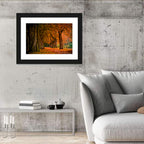 Autumn Forest Pathway Wall Art