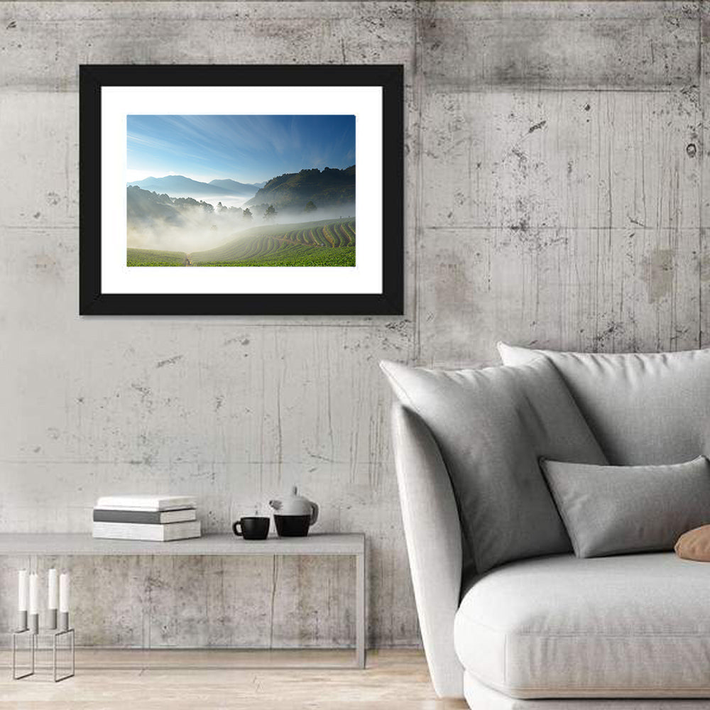 Sunlit Terraced Tea Hills Wall Art in a room, landscape