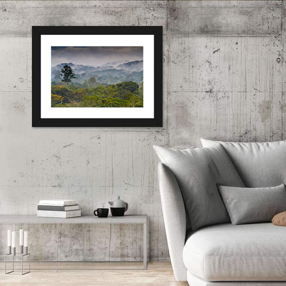Guinea Rainforest Landscape Wall Art