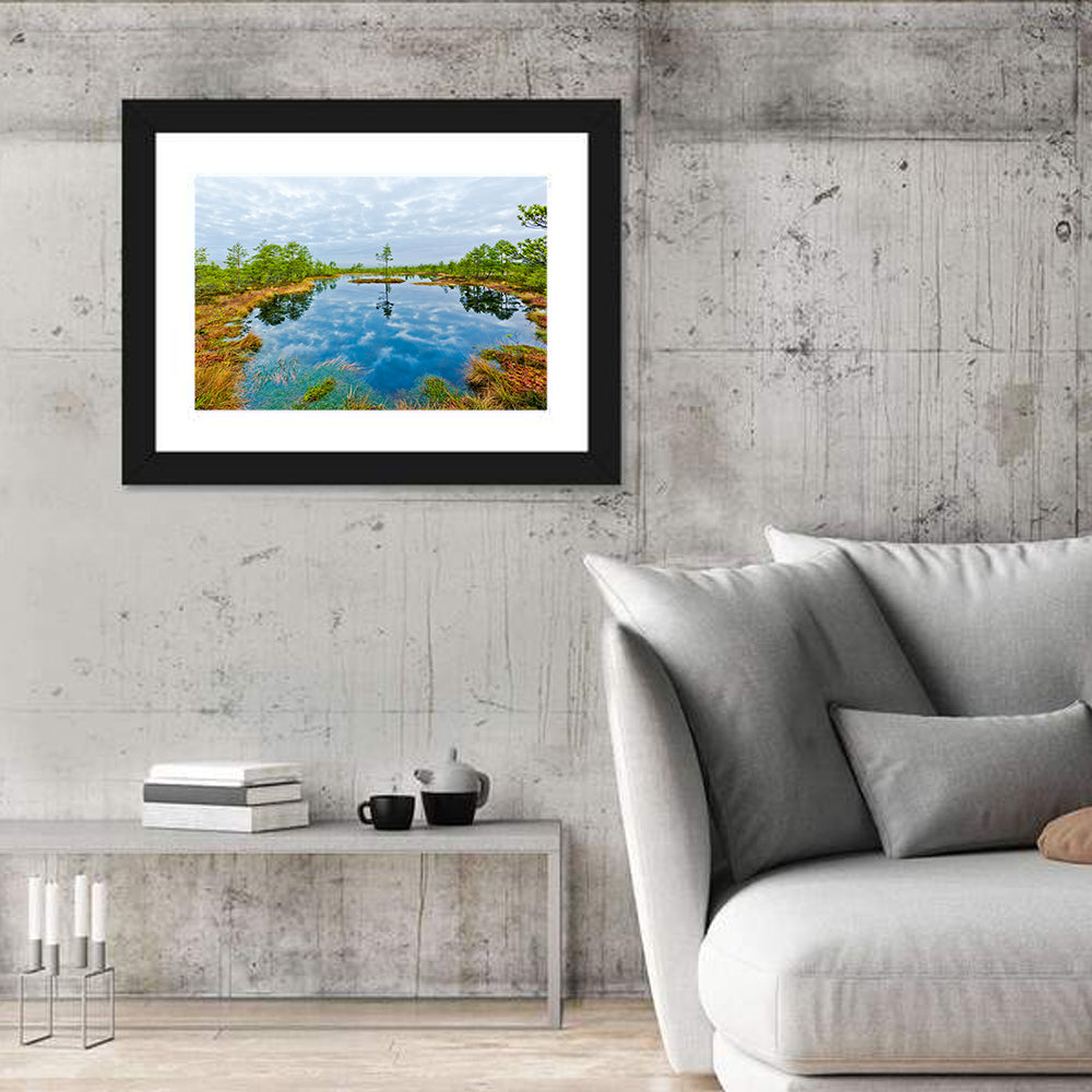 Viru Bog Reflections Wall Art