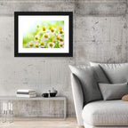 Chamomile Close-up Wall Art