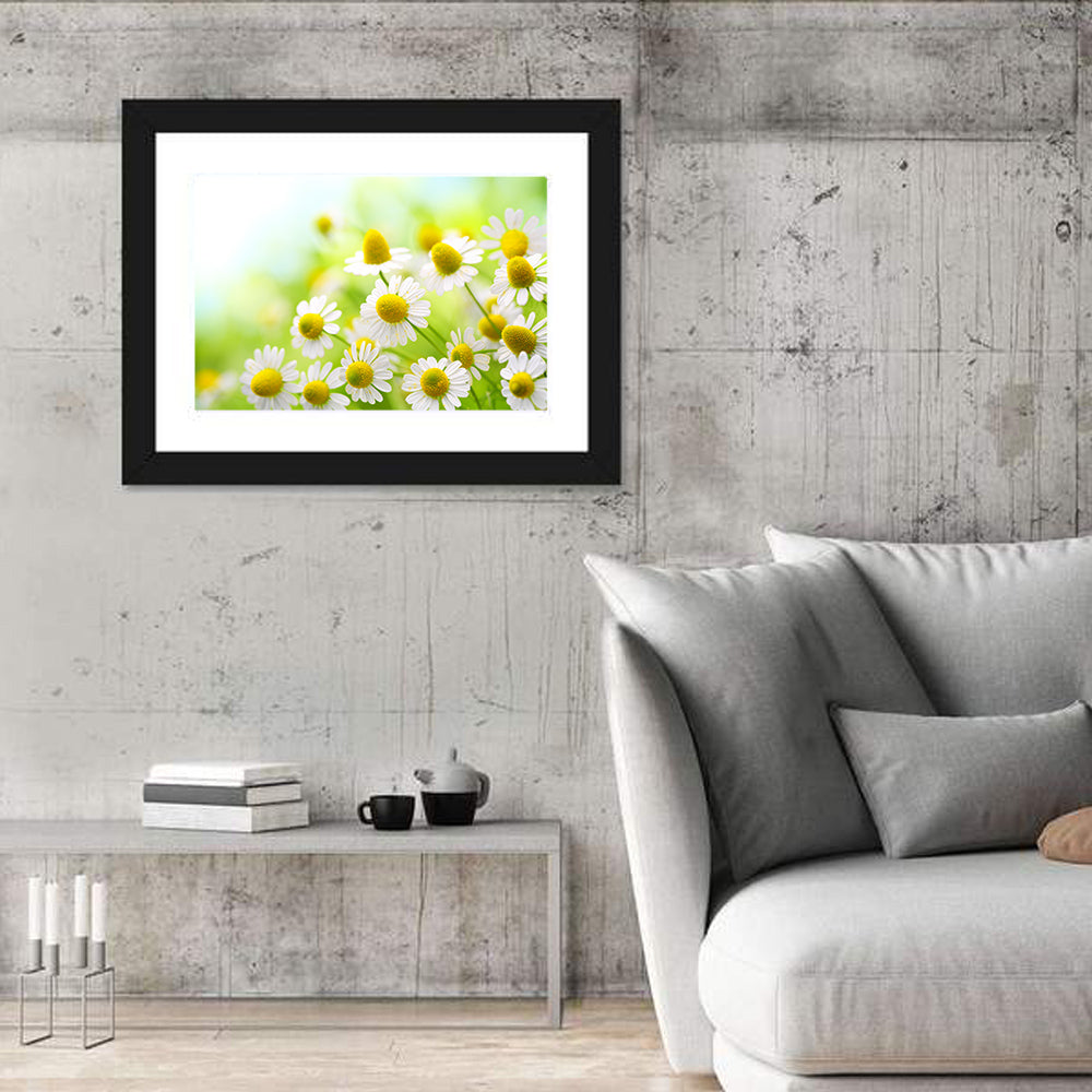 Chamomile Close-up Wall Art