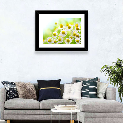 Chamomile Close-up Wall Art