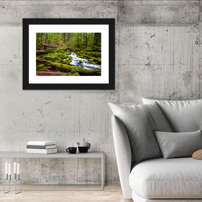 Mossy Cascade Forest Stream Wall Art